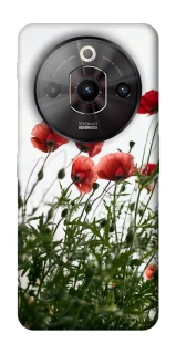 Чохол на ZTE Nubia Focus Pro Поле маків фото 1 з 1