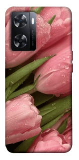 Чохол на OnePlus Nord N20 SE Beauty фото 1 з 1