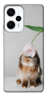 Чохол на Xiaomi Poco F5 / Note 12 Turbo Bunny фото 1 з 1