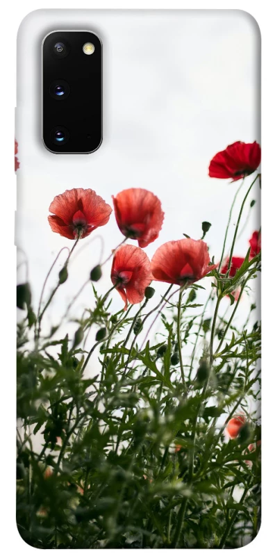Чехол на Samsung Galaxy S20 Поле маков фото 1 из 1