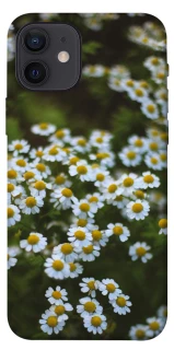 Чехол на Apple iPhone 12 (6.1") Ромашки v13 фото 1 из 1