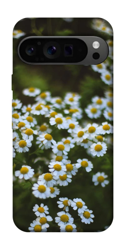 Чехол на Google Pixel 9 Pro Ромашки v13 фото 1 из 1
