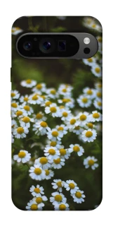 Чехол на Google Pixel 9 Pro Ромашки v13 фото 1 из 1