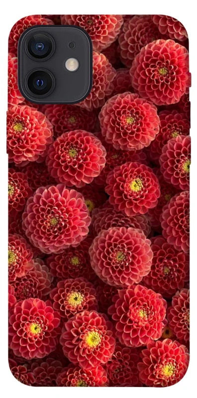 Чохол на Apple iPhone 12 (6.1") Midnight1 фото 1 з 1