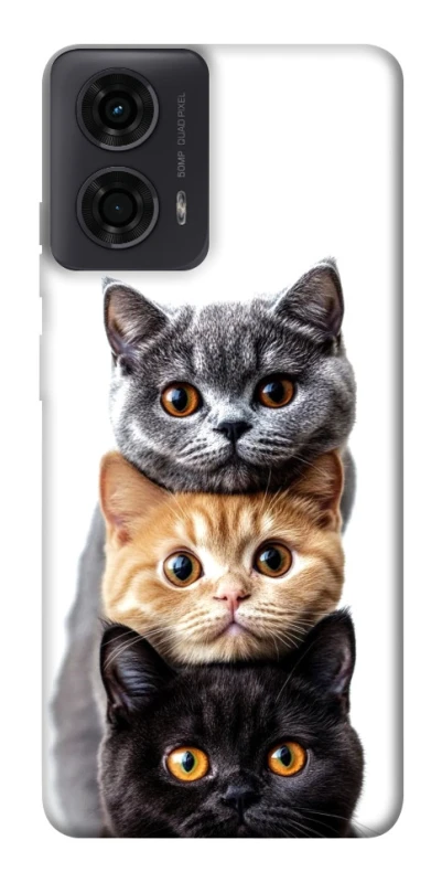 Чохол на Motorola Moto G04 Гарні котики фото 1 з 1