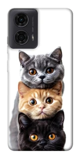 Чохол на Motorola Moto G04 Гарні котики фото 1 з 1