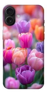 Чохол на Apple iPhone 16 Plus Тюльпанове поле фото 1 з 1