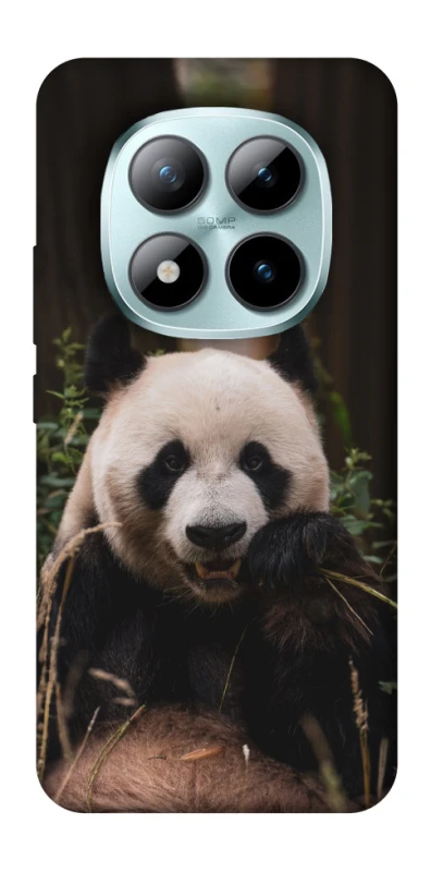 Чехол на Xiaomi Redmi Note 15 Pro+ 5G Панда фото 1 из 1