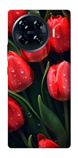 Чохол на TECNO Spark 20 Pro+ Червоні тюльпани фото 1 Чохол на TECNO Spark 20 Pro+ Червоні тюльпани фото 1 з 1