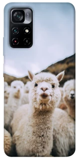 Чохол на Xiaomi Poco M4 Pro 5G Лама фото 1 з 1