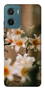 Чохол на Motorola Moto G06 Лілії фото 1 з 1