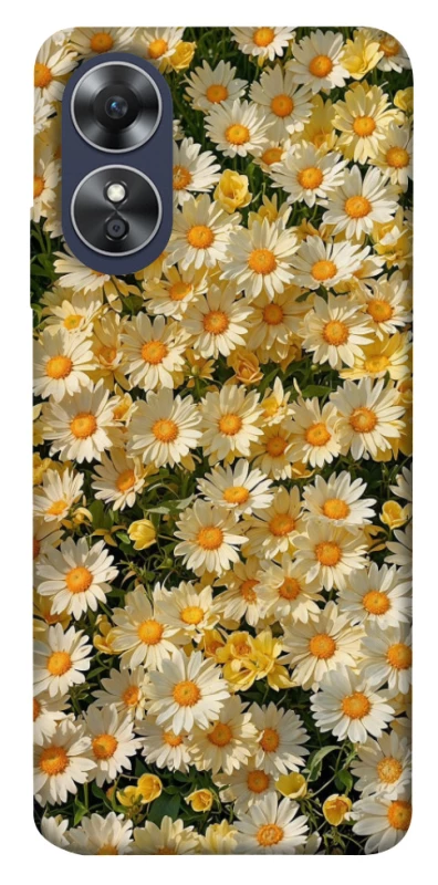 Чохол на Oppo A17 Camomile фото 1 з 1