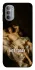Чохол на Motorola Moto G31 Not Today фото 1 з 1