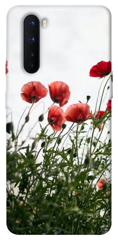 Чехол на OnePlus Nord Поле маков фото 1 из 1