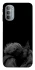 Чехол на Motorola Moto G31 House of the Dragon ver.8 фото 1 из 1