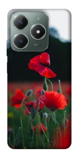 Чехол на Realme C61 Мак фото 1 из 1