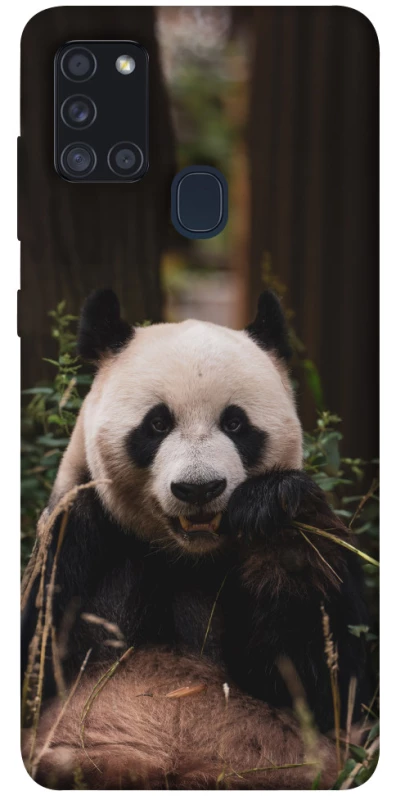 Чехол на Samsung Galaxy A21s Панда фото 1 из 1