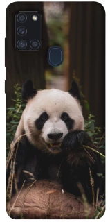 Чехол на Samsung Galaxy A21s Панда фото 1 из 1