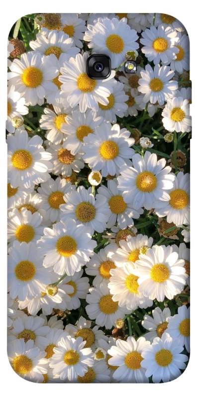 Чехол на Samsung A720 Galaxy A7 (2017) Поле ромашек фото 1 из 1