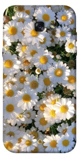 Чехол на Samsung A720 Galaxy A7 (2017) Поле ромашек фото 1 из 1