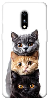 Чохол на OnePlus 7 Гарні котики фото 1 з 1