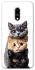 Чохол на OnePlus 7 Гарні котики фото 1 з 1