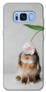 Чохол на Samsung G950 Galaxy S8 Bunny фото 1 з 1