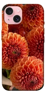 Чохол на Apple iPhone 15 (6.1") Flower1 фото 1 з 1
