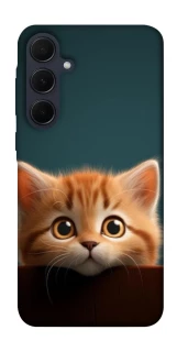 Чохол на Samsung Galaxy A35 Чохол Кошеня фото 1 з 1