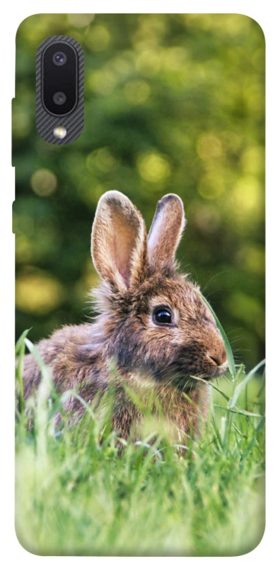 Чохол на Samsung Galaxy A02 Кролики фото 1 з 1