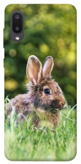 Чехол на Samsung Galaxy A02 Кролики фото 1 из 1
