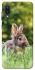 Чохол на Samsung Galaxy A02 Кролики фото 1 з 1
