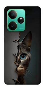 Чехол на Realme GT 7 Кот-подглядыватель v2 фото 1 из 1