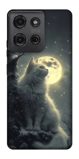 Чохол на Motorola Moto G75 Кіт під місяцем фото 1 з 1