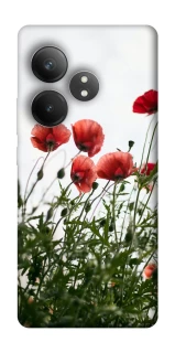Чохол на Realme GT Neo 6 Поле маків фото 1 з 1