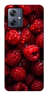 Чохол на Motorola Moto G54 Малинка фото 1 Чохол на Motorola Moto G54 Малинка фото 1 з 1