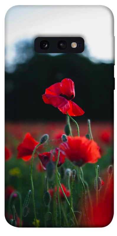 Чехол на Samsung Galaxy S10e Мак фото 1 из 1