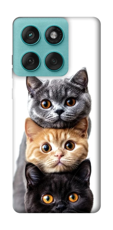 Чохол на Motorola Edge 60 Fusion Гарні котики фото 1 з 1