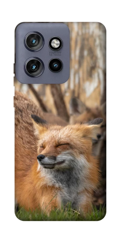 Чохол на Motorola Edge 50 Neo Лисиця фото 1 з 1