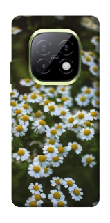 Чехол на Realme Narzo 70 Turbo Ромашки v13 фото 1 из 1