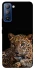 Чехол на TECNO Pop 5 LTE Leopard v4 фото 1 из 1