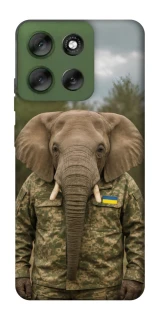 Чехол на Motorola Moto G56 5G Слон защитник фото 1 из 1