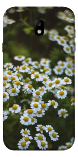 Чохол на Samsung J730 Galaxy J7 (2017) Ромашки v13 фото 1 з 1