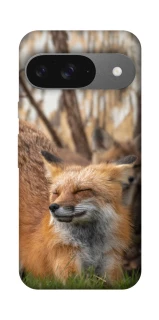 Чехол на Google Pixel 10 Лиса фото 1 из 1