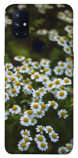 Чехол на OnePlus Nord N10 5G Ромашки v13 фото 1 из 1