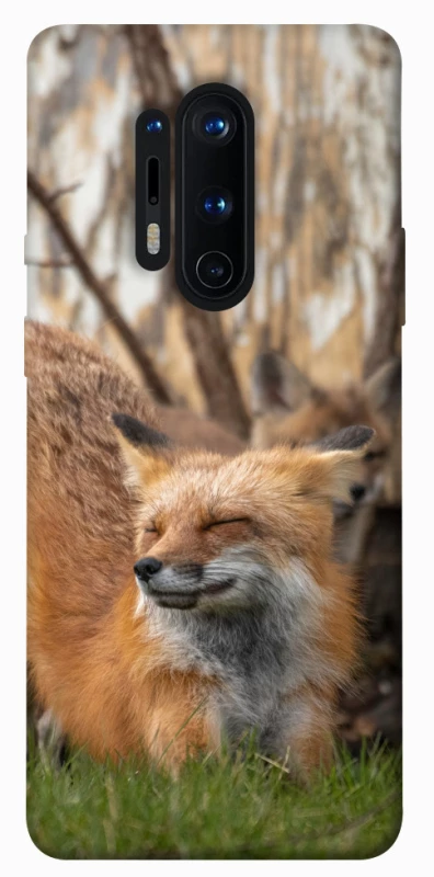 Чехол на OnePlus 8 Pro Лиса фото 1 из 1