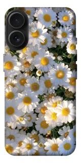 Чехол на Apple iPhone 17 (6.3") Поле ромашек фото 1 из 1