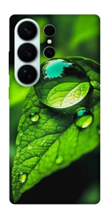 Чехол на Samsung Galaxy S26 Ultra Flowers v16 фото 1 из 1