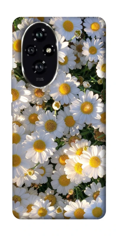 Чехол на Honor 200 Поле ромашек фото 1 из 1