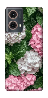 Чехол на Motorola Moto G85 Secret Garden фото 1 из 1